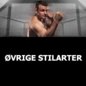 Øvrige stilarter