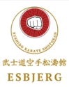 Bushido Karate Esbjerg