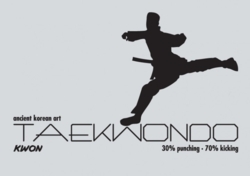 Taekwondo-tryck för kläder