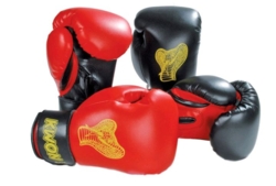 Boxningshandskar för barn 6 oz. - 6 till 10 år