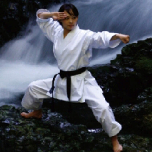 TOKAIDO ULTIMATE &quot;SAW&quot; Karate gi - Gjord i JAPAN (logofri) - 12 oz.