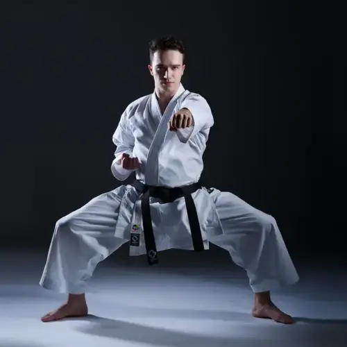 Budo-Nord KATA Five Stars WKF Regular-fit Karate gi (logofri) - 11 oz - WKF
