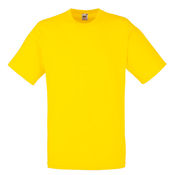 Fruit of the Loom t-shirt