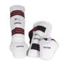 KWON TKD EVOLUTION Fod og Skinnebensbeskytter CE - WT