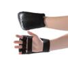 Håndbeskytter Ægte læder - 1 cm polstring - Karate/ju-jitsu -Blå/Rød