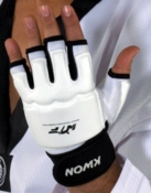 KWON TKD EVOLUTION Handskar / Handskydd - WT